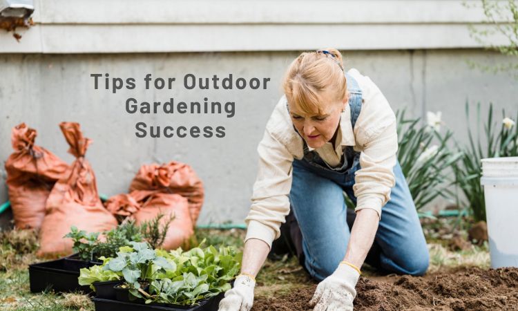Tips for Outdoor Gardening Success