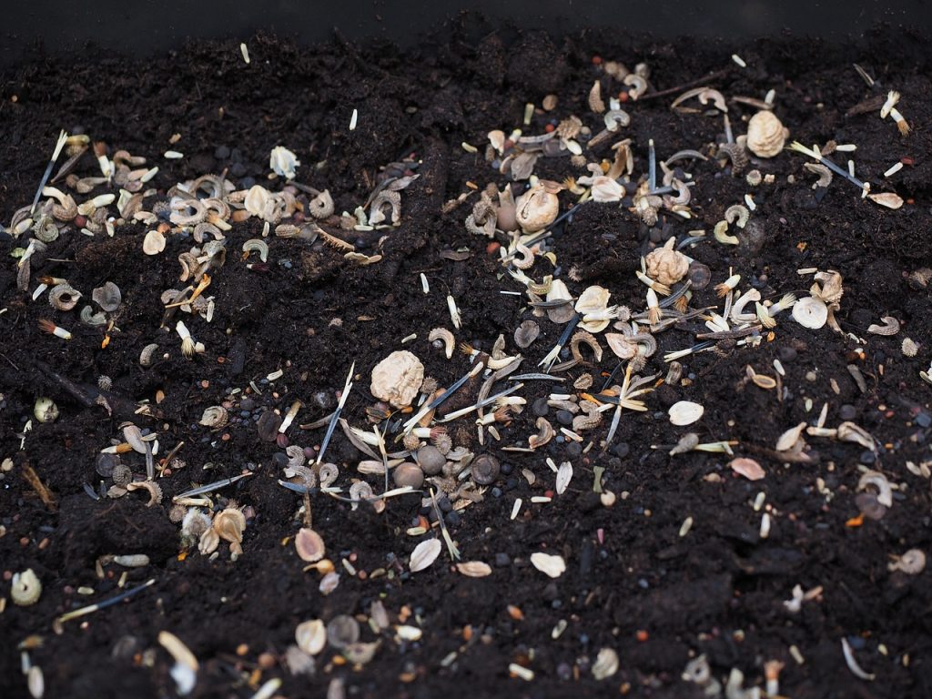Between Garden Soil and Potting Mix