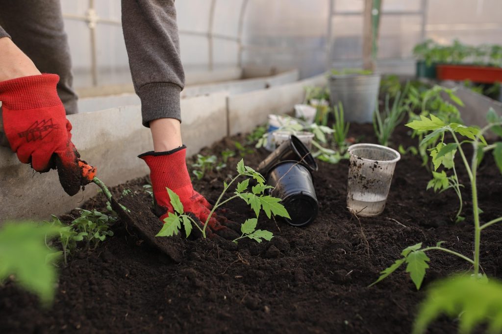 Can Garden Soil Work for Outdoor Potted Plants