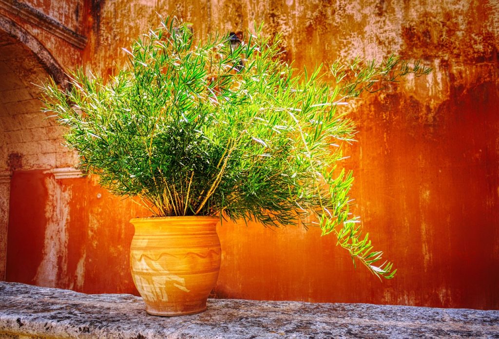 Extra Large Planter Pots Outdoor