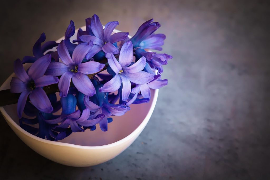 Fragrant Blooms