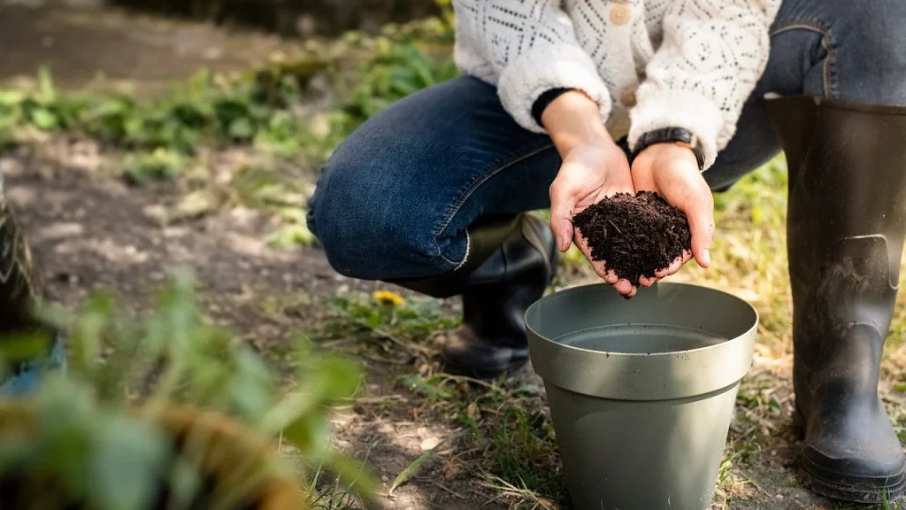 Garden Soil for Outdoor Potted Plants