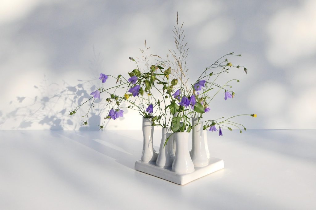 Grow Lights for Indoor Plants