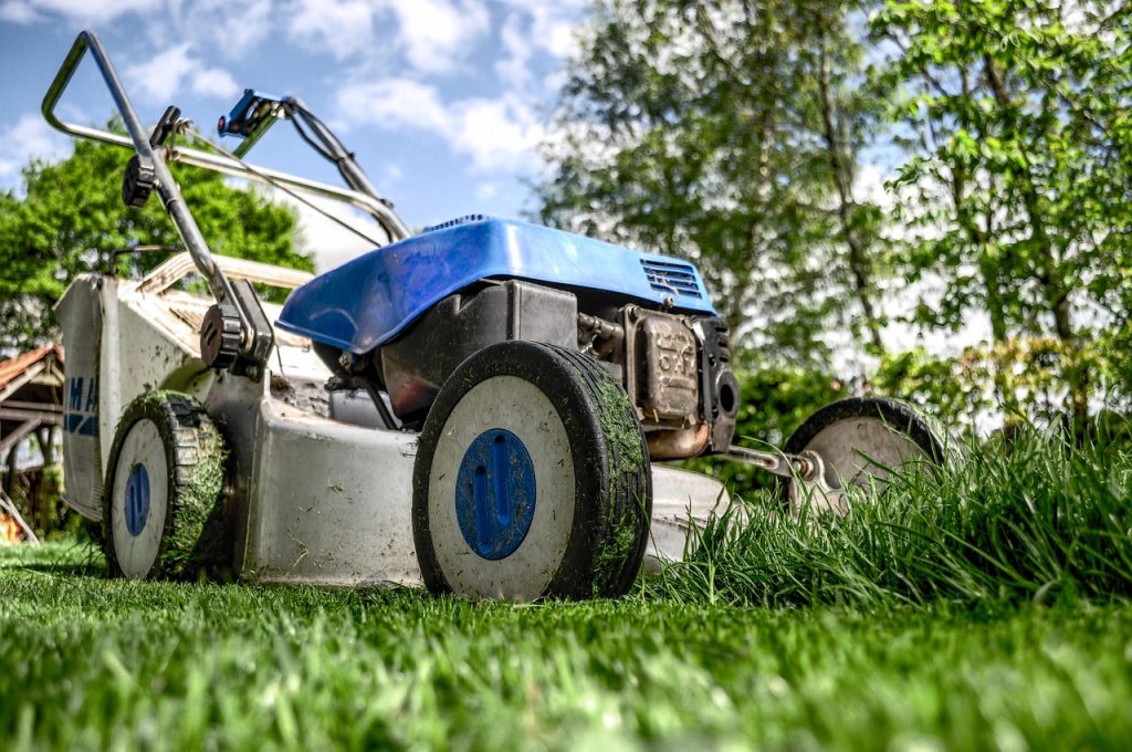 How to Start a New Garden Successfully in Your Backyard