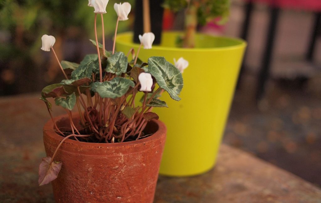 Large Planter Pots Outdoor