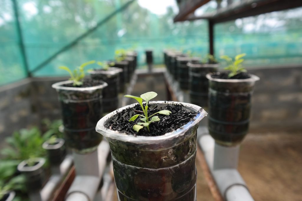 Outdoor Hydroponic Gardening