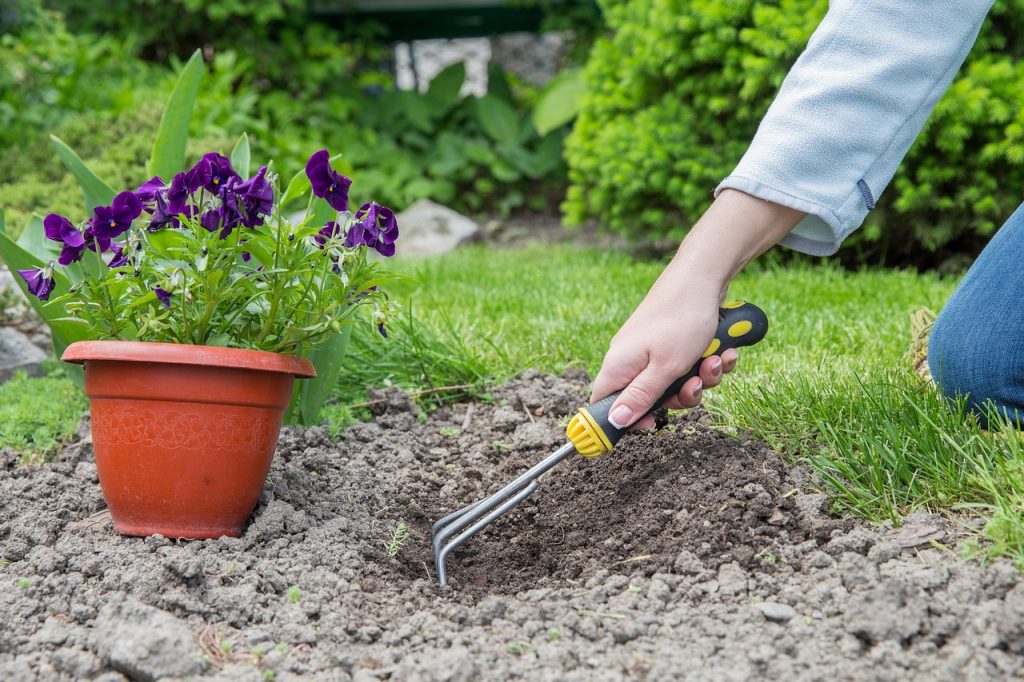 Planning the Garden