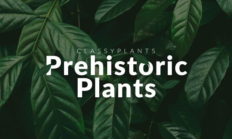 Prehistoric Plants