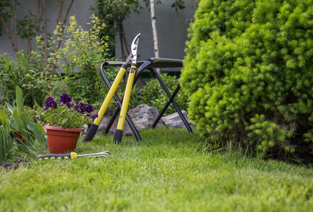 Preparing the Garden Bed