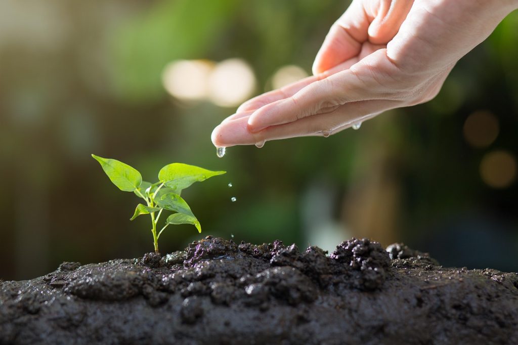 What is Seasonal Gardening