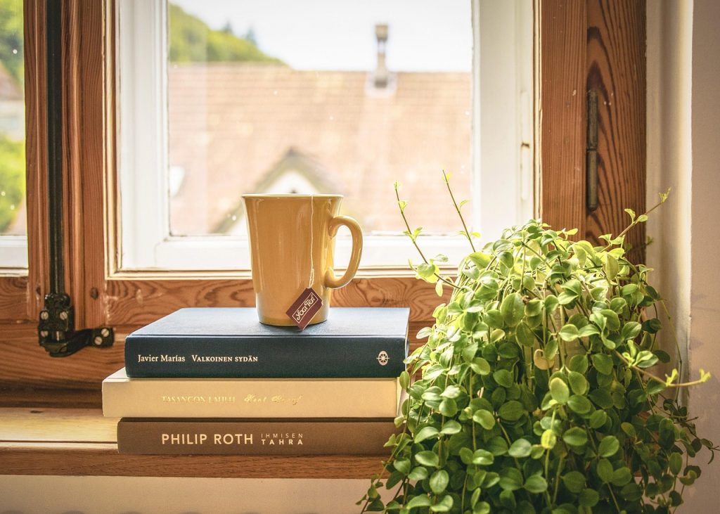 how to water houseplants for beginners