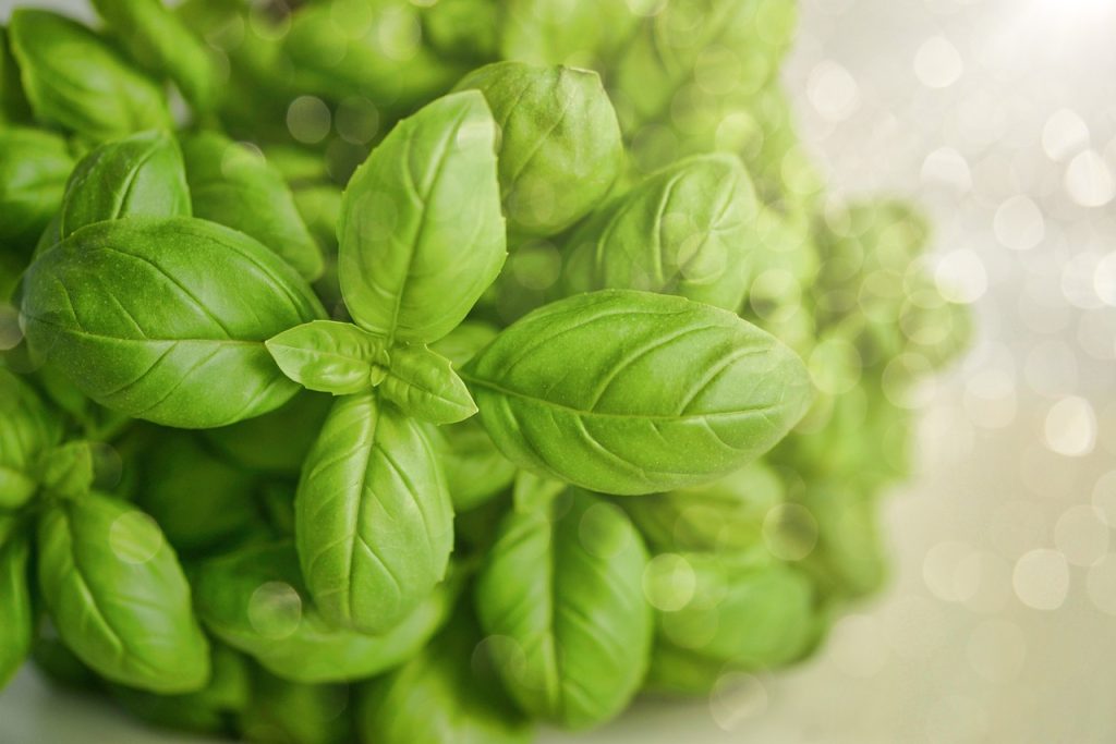 lights for indoor plants guide