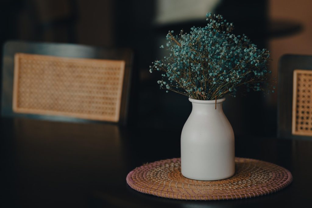 Care Tips for Indoor Plants