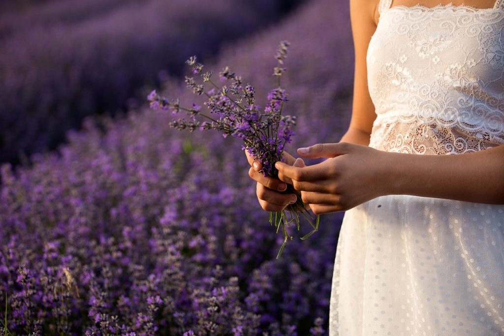 Essential Seasonal Gardening Tips