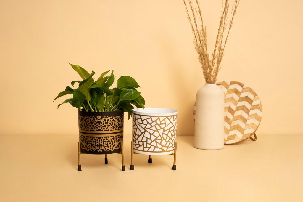 Indoor Plants