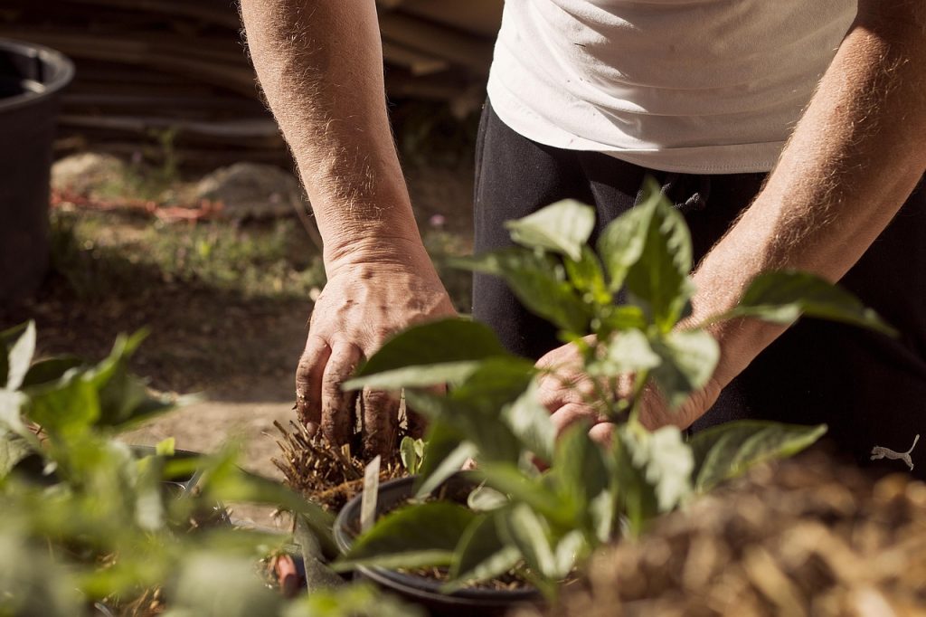 Nurturing Your Flourishing Garden