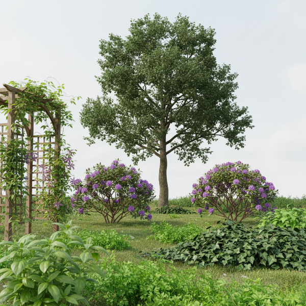 Plant Types Based on Growth Habit