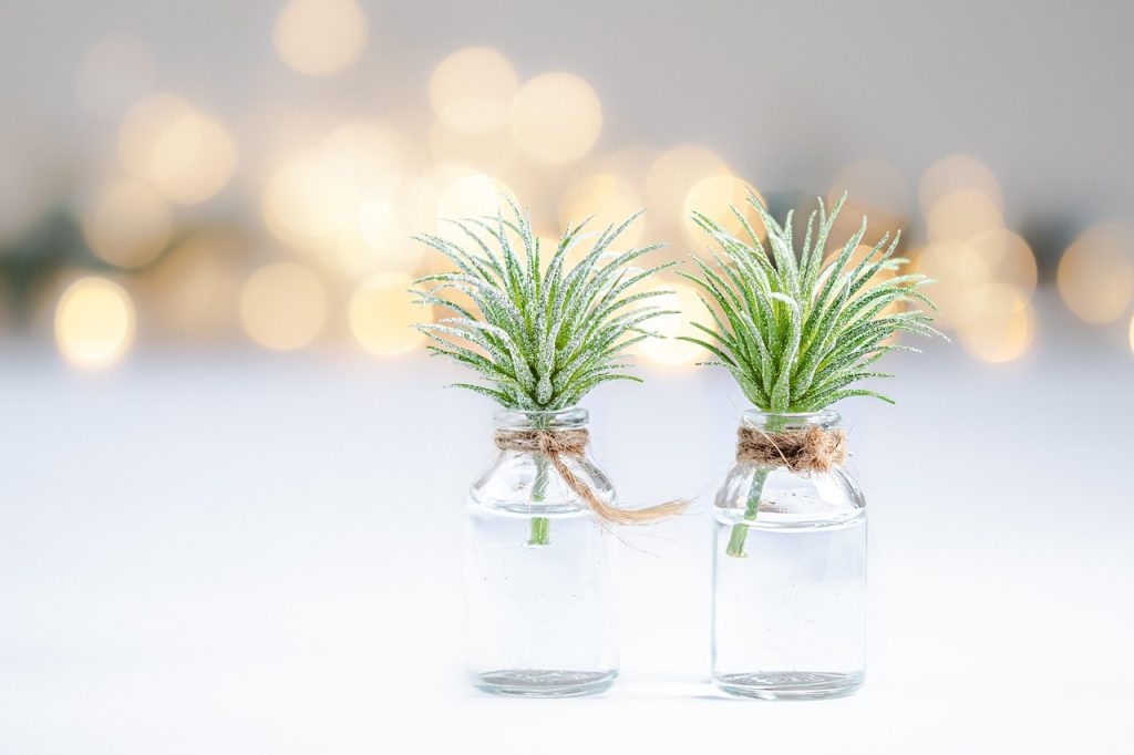 Pruning and Cleaning