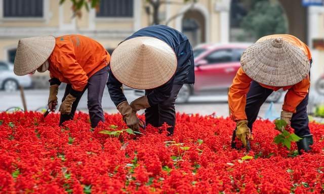 Tools for the Beginner Gardener