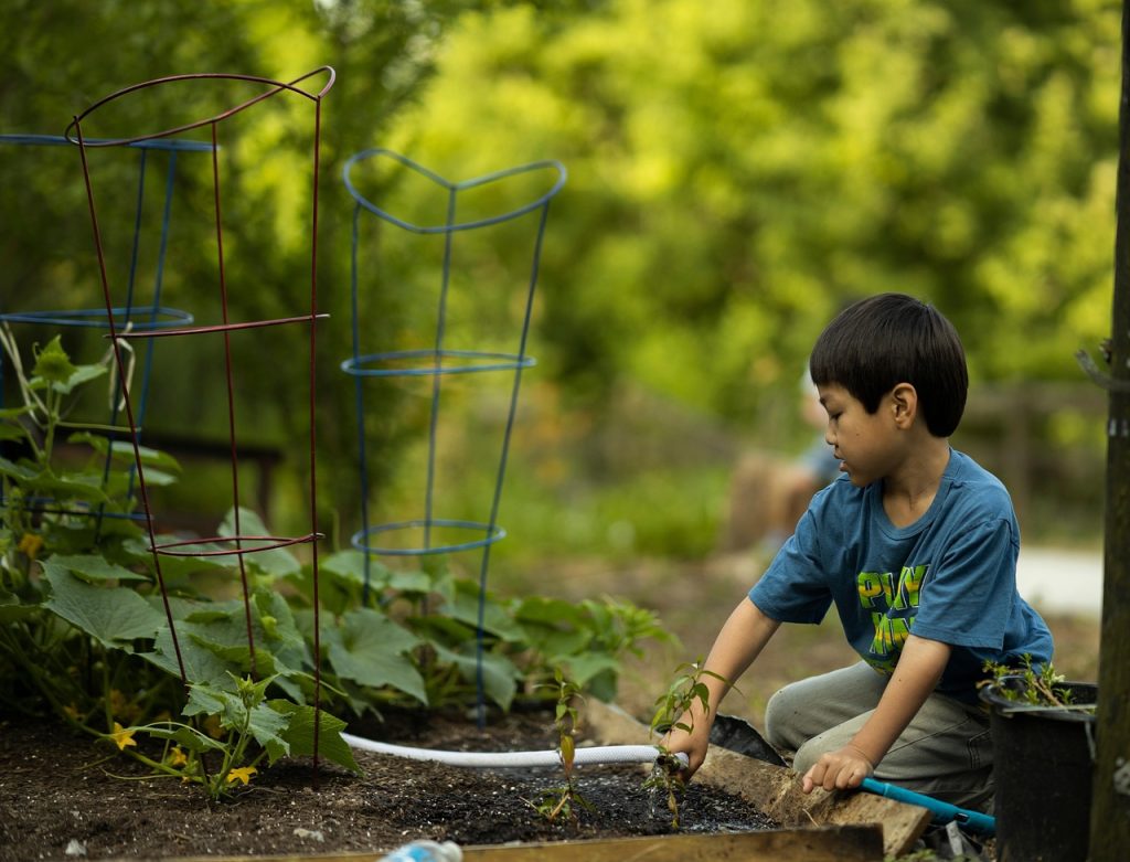 Vegetable Gardening