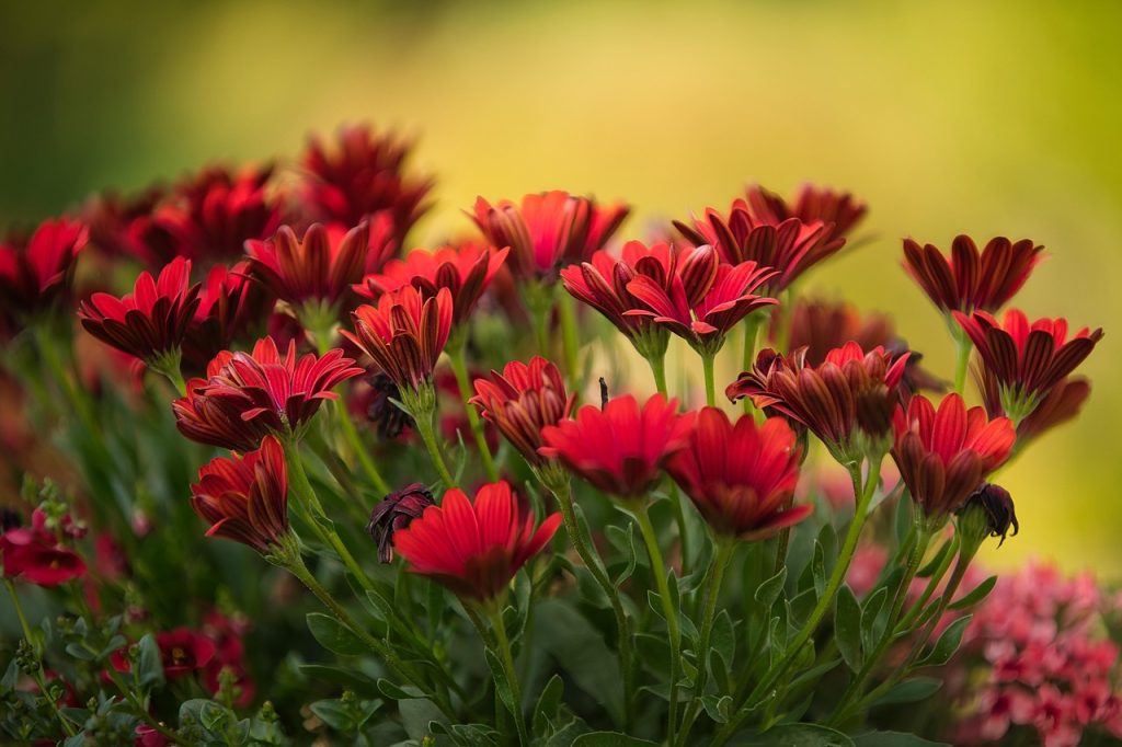 Your Gardening Practices
