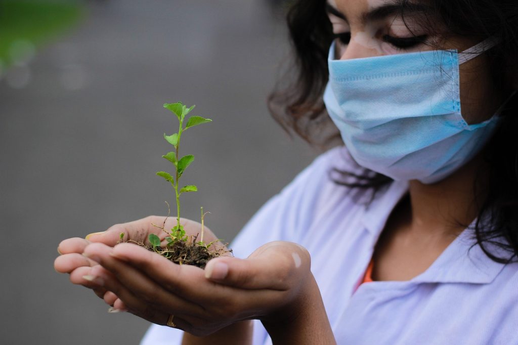 indoor plant care guide