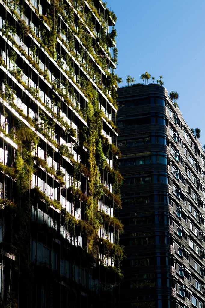 Apartment Gardening for Beginners