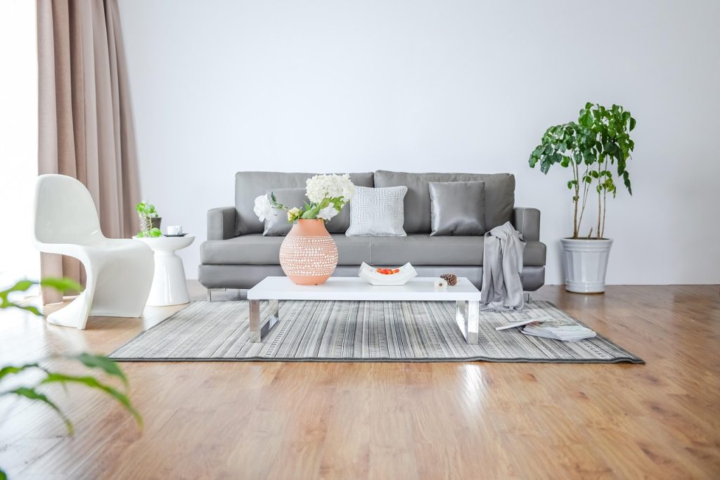 Care for Indoor Plants in Low Light