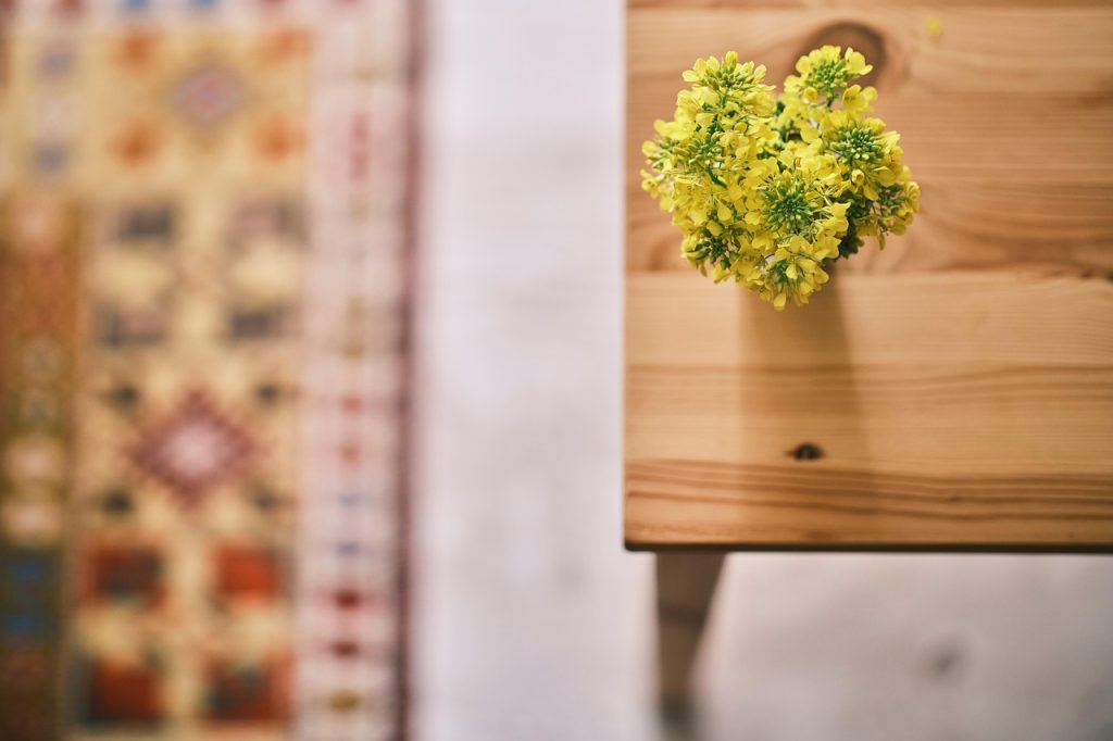 Elements of Houseplant Care