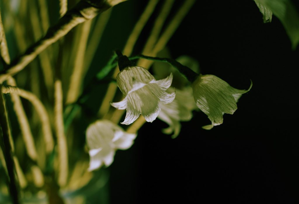 Green Stems