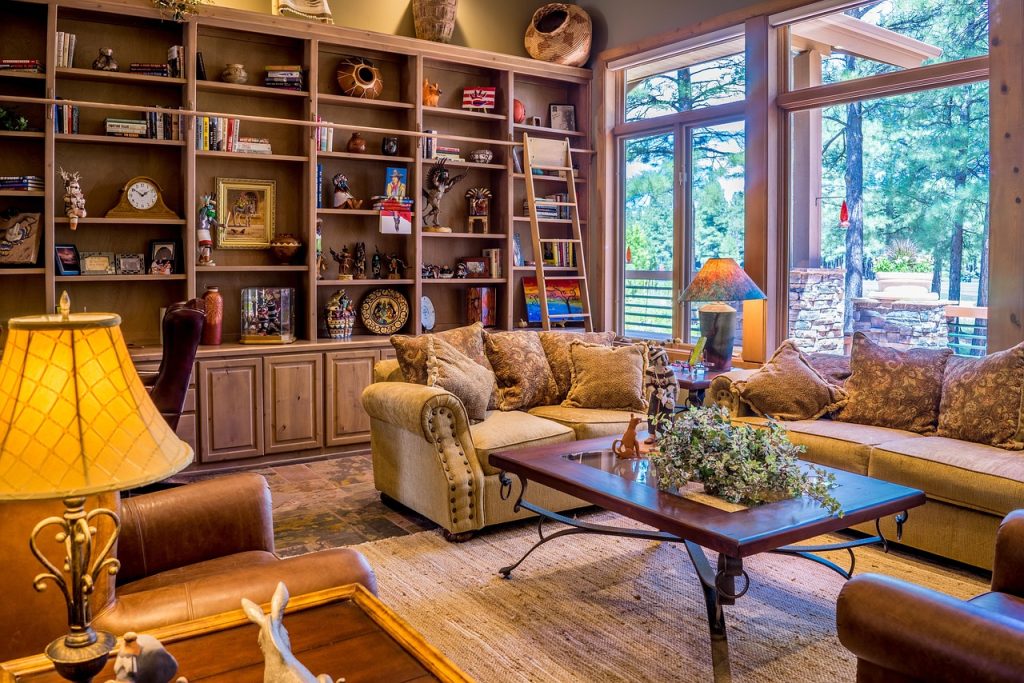Indoor Plants for Living Room Without Sunlight