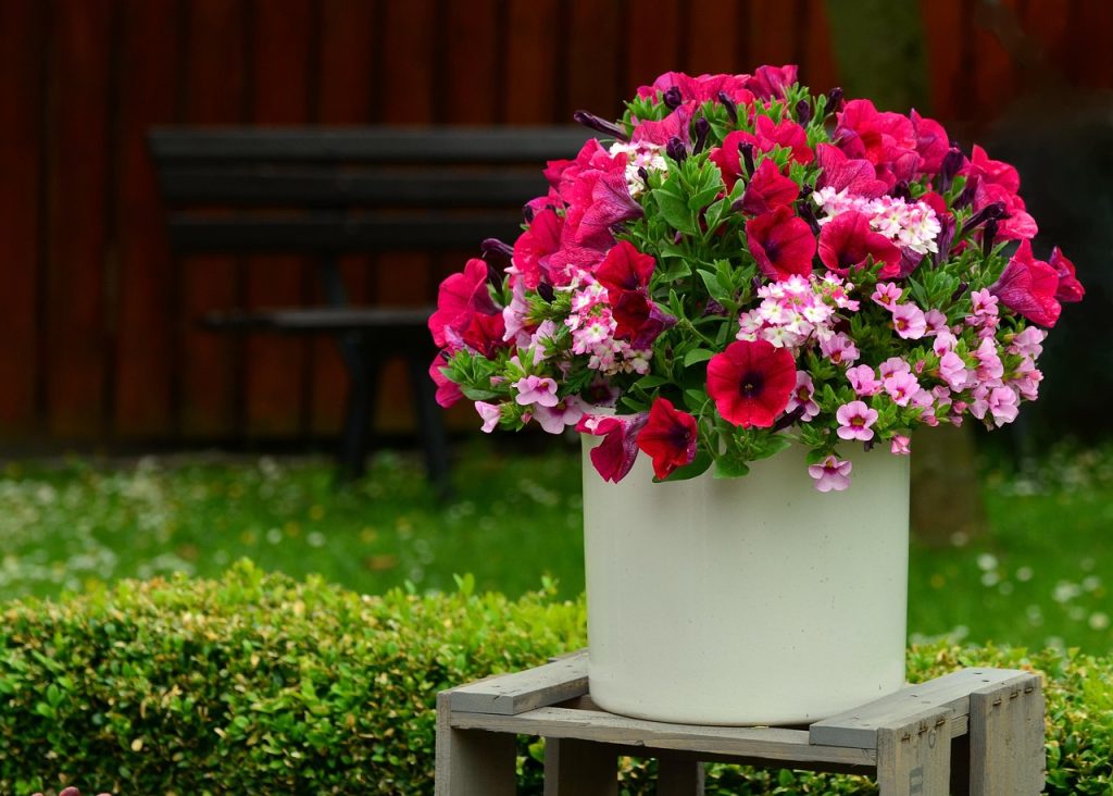 Balcony Garden Ideas