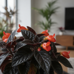 Goldfish Plant Toxicity