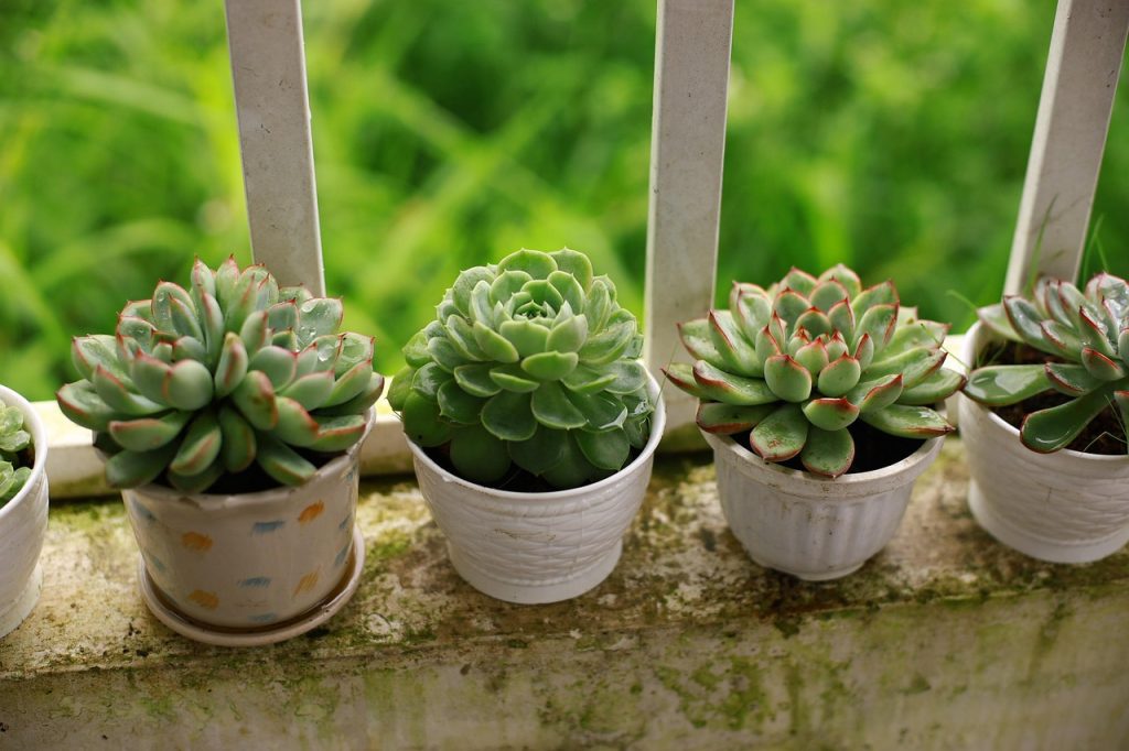 Propagating from Offsets
