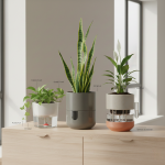 Types of Self Watering Pots for Indoor Plants