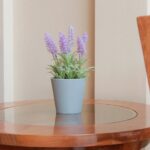 Purple Plants Indoor