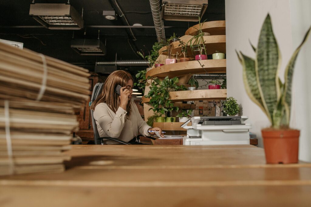 Office Plant