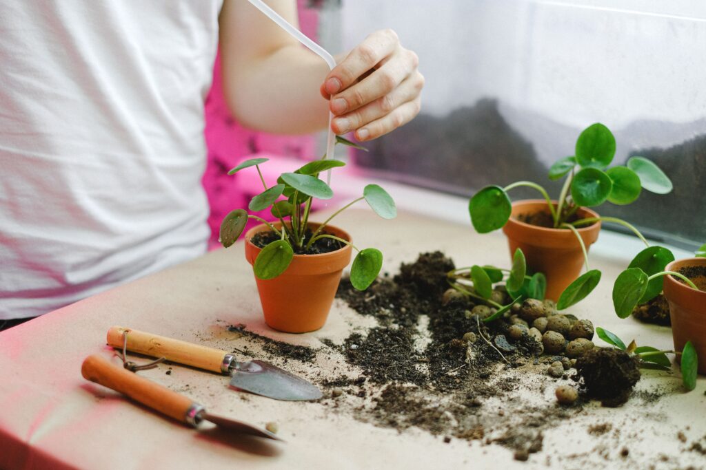 Common Soil Mistakes