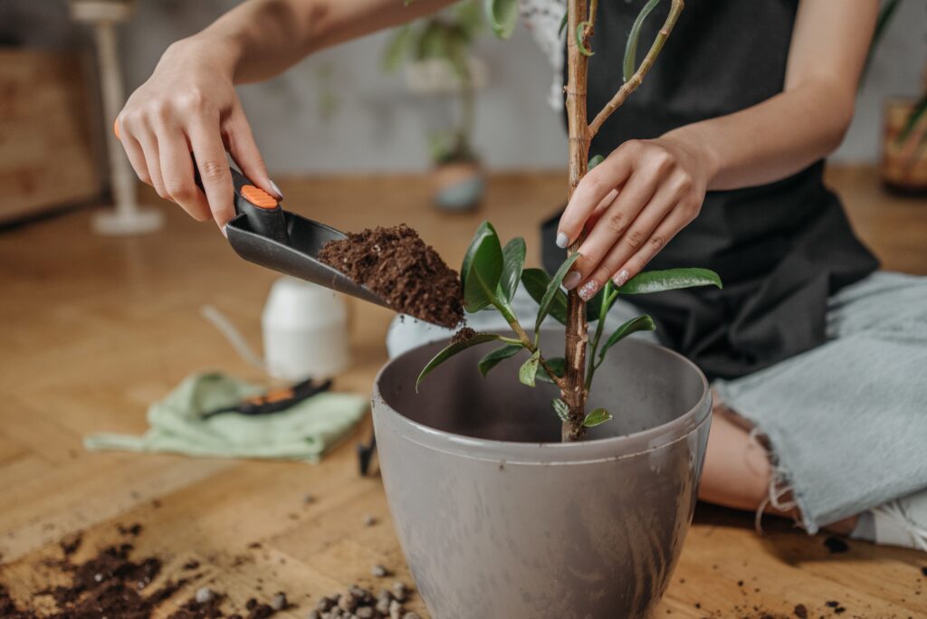 Good Potting Soil