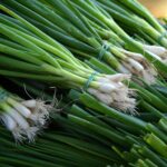 Scallions