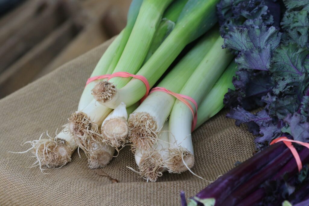 Scallions Indoors